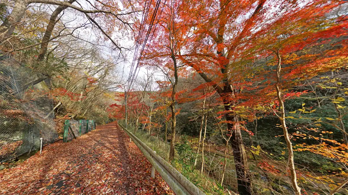 茨城県高萩市花貫渓谷の小滝沢キャンプ場付近の紅葉景観スポット