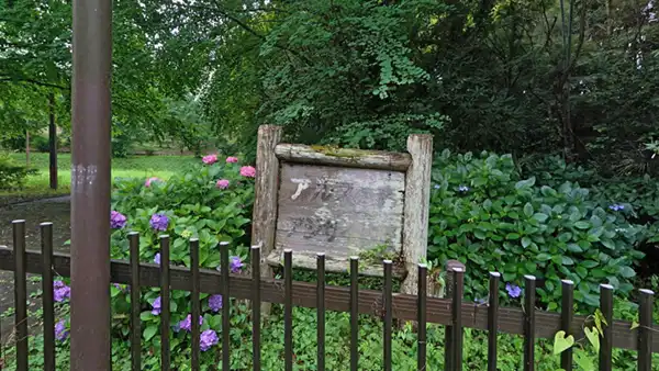 取手市のアルス森アジサイ公園の看板とあじさい開花の景観写真