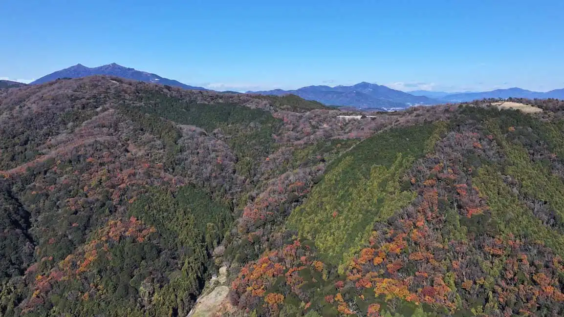 12月15日の朝日峠の紅葉景観