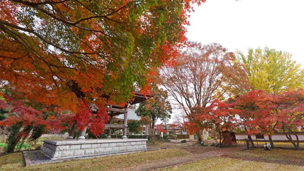 土浦市の観音寺の鐘楼付近の紅葉景観とVRツアーリンク