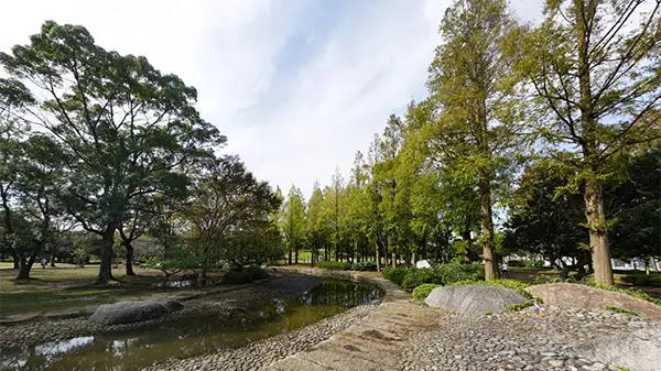 土浦市の霞ヶ浦総合公園の景観写真