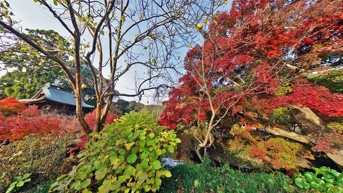 土浦市東城寺の池付近の紅葉景観写真とVRツアーリンク