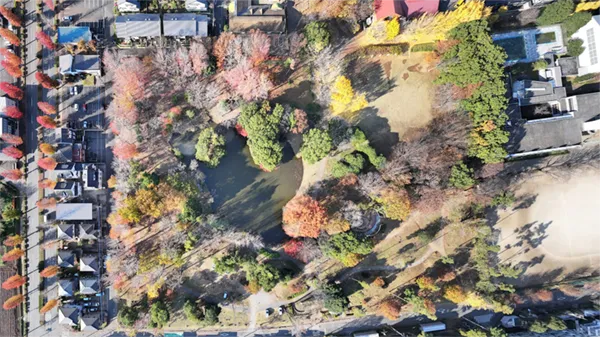 つくば市の松代公園の空撮景観写真