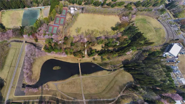 つくば市の科学万博記念公園の空撮景観写真