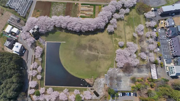 つくば市の反町の森公園の景観写真