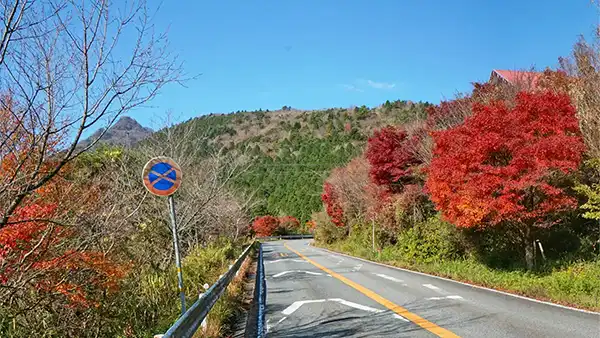 筑波スカイライン駐車場から筑波山方面を見た紅葉景観写真