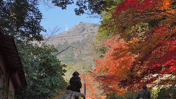 筑波山神社の西側登山口付近の紅葉