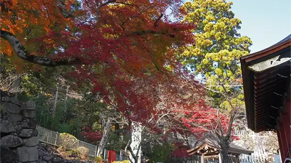 筑波山神社神橋付近の紅葉写真