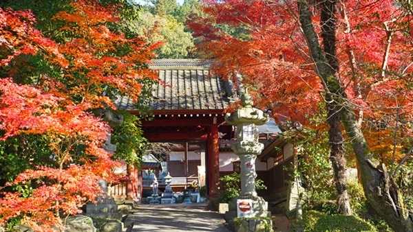 筑波山麓の普門寺の鐘楼紅葉写真とVRツアーリンク