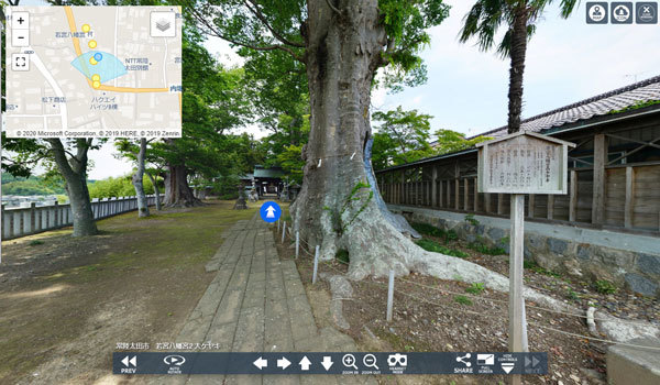 茨城県常陸太田市の巨木観光名所の若宮八幡宮