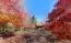 茨城県行方市の紅葉景観写真